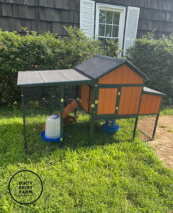 chicken coop at Dirty Skirt Farm bringing home baby chicks