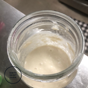 dirty skirt farm sourdough starter